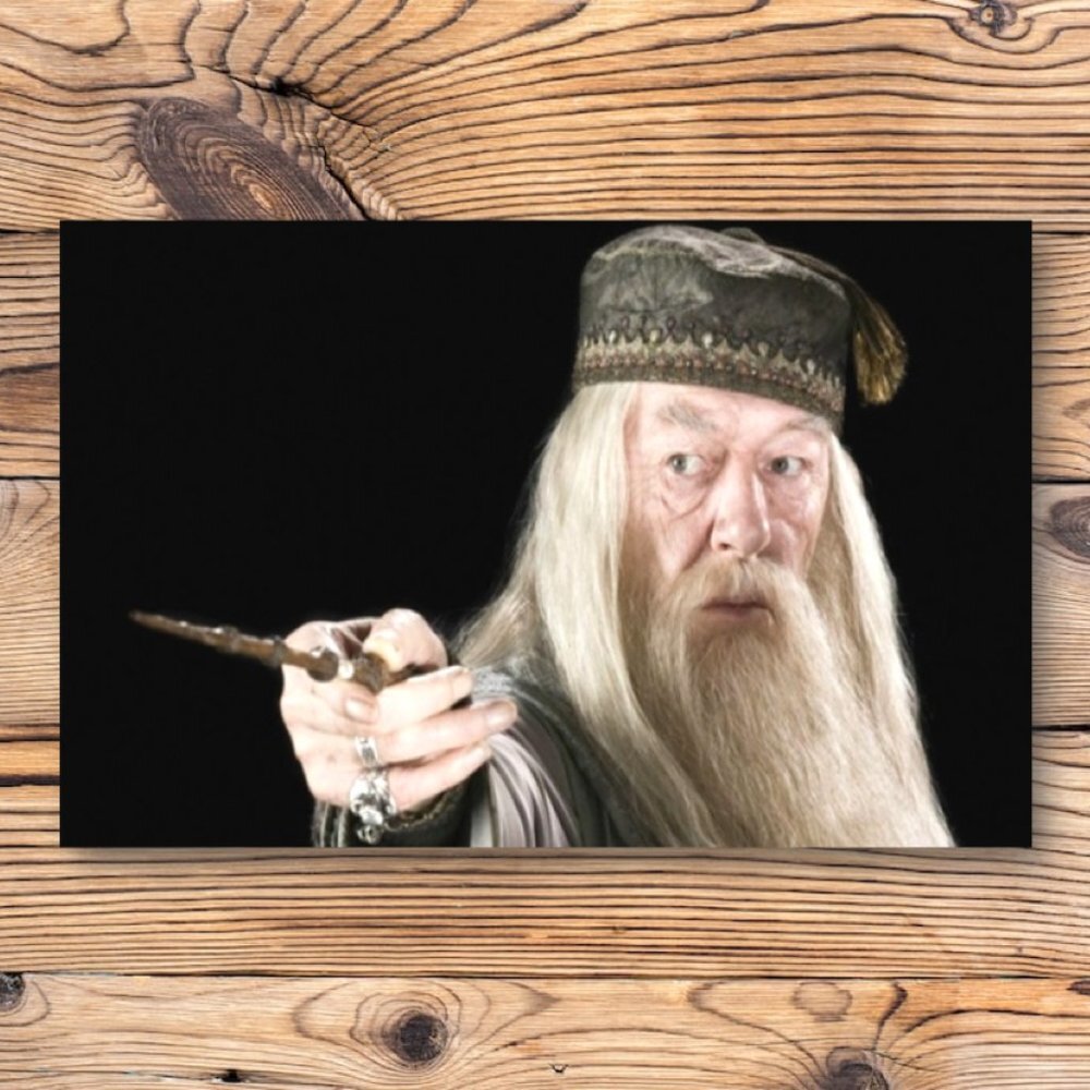 Harry Potter Professor Albus Dumbledore Refrigerator Locker Fridge Magnet
